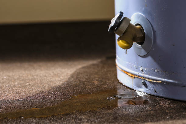 Best Professional water damage repair  in La Paloma, TX