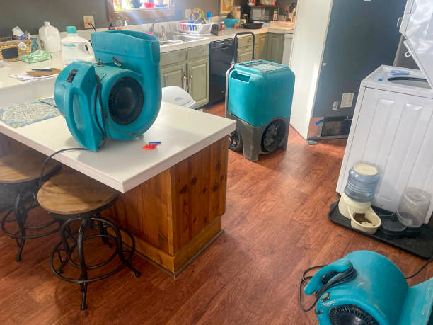Best Basement water damage restoration  in La Paloma, TX