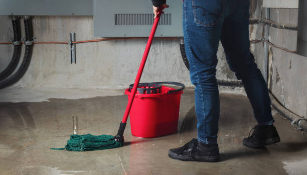 Best 24-hour water damage restoration  in La Paloma, TX