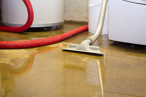 Best Residential water damage restoration  in La Paloma, TX